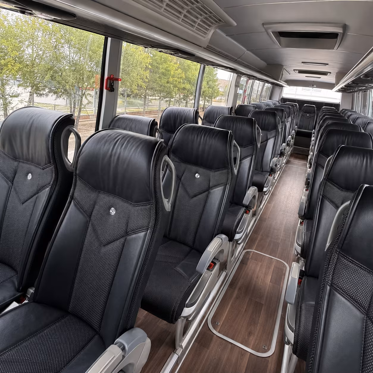 wellington charter bus