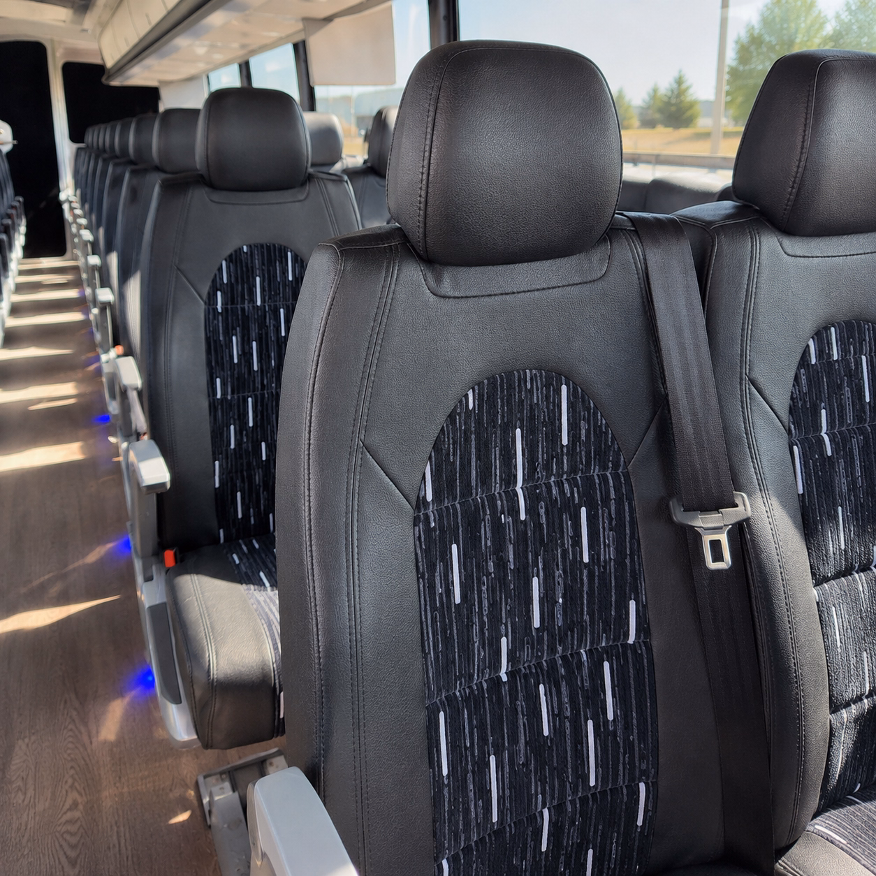 wellington timely charter buses for wellington corporate outings
